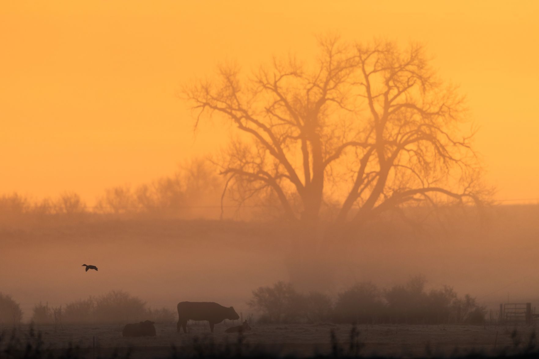 Best of Nebraska